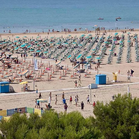 In 41089 * Bibione